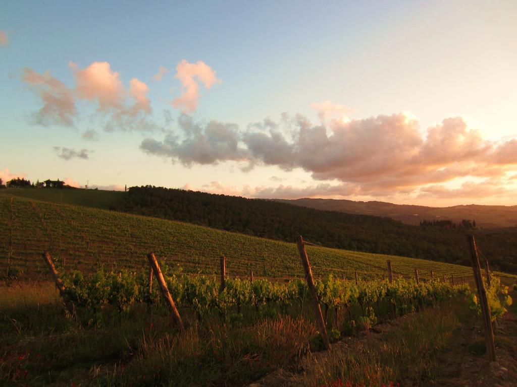 B&B Grano E Lavanda Greve in Chianti Zewnętrze zdjęcie